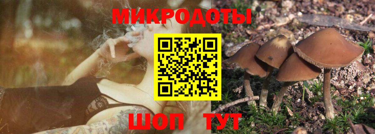Галлюциногенные грибы Psilocybine cubensis  Вход с VPN  Псилоцибиновые грибы Psilocybe  Соль-Илецк 